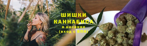 мдпв Верхний Тагил