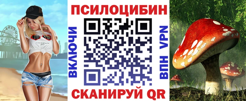 даркнет Telegram  Среднеколымск  Галлюциногенные грибы Cubensis 